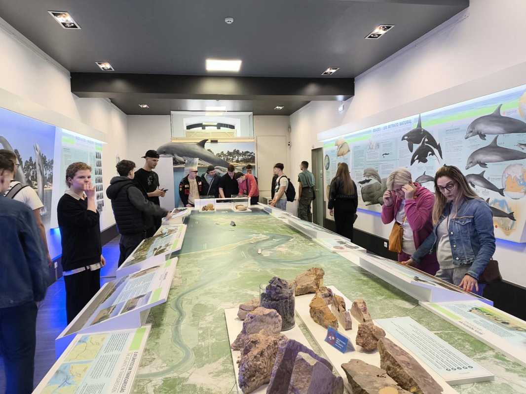 4494f1bc-e2ab-4ea9-a678-619ce65db3f0