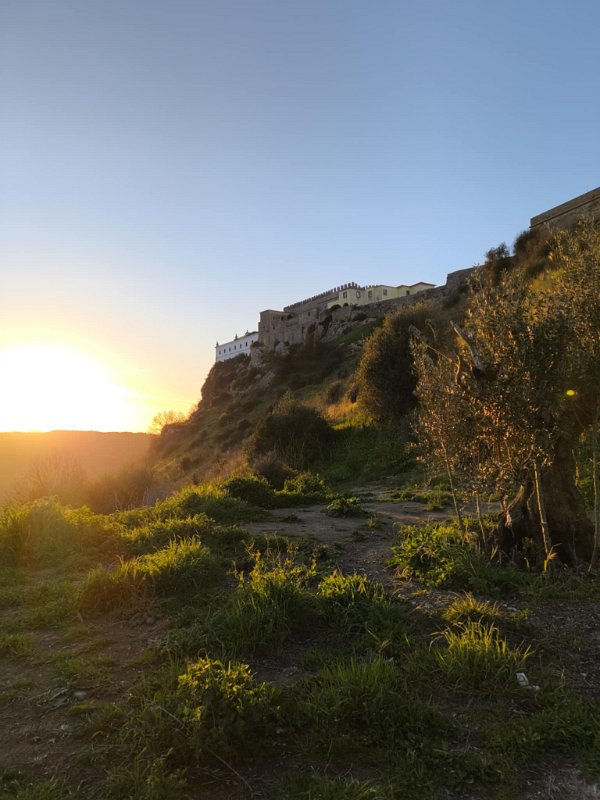 7d49b932-b237-4a49-b1a0-e5e2cfd1438c